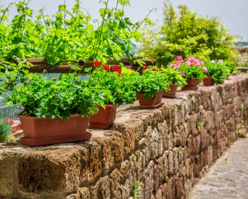 retaining wall